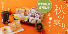 left_set_aki2023